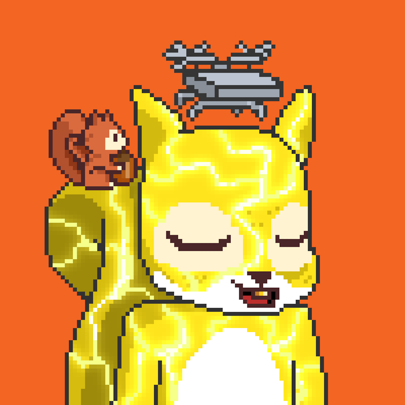 Pixel Squirrels #6726